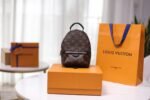 [TOP] LOUIS VUITTON LV Monogram Palm Springs Backpack Mini - Bag - Image 2