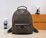 Louis Vuttion LV Palm Springs Backpack - Bag - Image 2