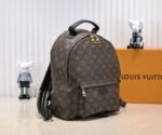 Louis Vuttion LV Palm Springs Backpack - Bag - Image 3