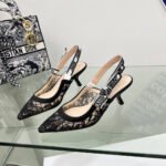 J'Adior Slingback Pump Transparent Mesh with Black Dior Chardons Embroidery Shoes
