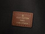 [TOP] Louis Vuitton Loop Hobo - Image 9