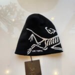 Arcteryx Bird head toque beanie - Hat - Image 2
