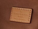 Louis Vuitton Rush Bumbag Monogram Archive - Bag - Image 9