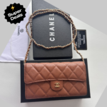 Chanel 23 Wallet on Chain- Brown Bag