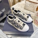 Dior New Embroidered Black Low Top Shoes