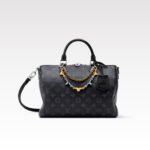 Louis Vuitton LV Speedy 30 Soft Monogram Eclipse/Black - Bag